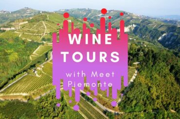 Wine tours in Piedmont, Italy | Meet Piemonte Tour Operator