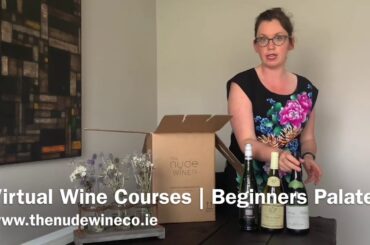 Virtual Wine Course | Beginners Palate