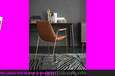 ✓2000 Nordic Light Luxury Dining Chair Italian Metal Leather Leisure Ar