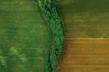 Italy's Wine Country | Cinematic Drone Footage