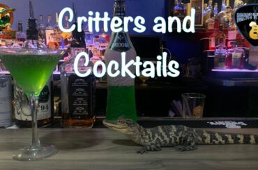 We visited our favorite restaurant in St. Cloud and made new drinks inspired by our animals!