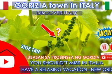 Let's go to VINEYARDS? TARA na sa UBASAN at GORIZIA TOWN in Italy | Discover Italy | Side Trip