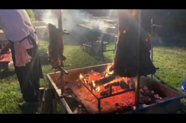 Amazing San Valentino winery - gourmet wine tour in Rimini