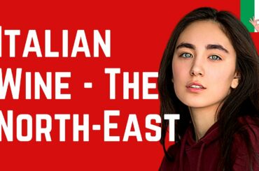 Italy's Best 20 Wine Regions to Visit and Enjoy – North East