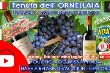 MOST EXPENSIVE Italian WINE? Max Price USD 6,863 only | Ornellaia on the Tuscan Coast Tuscany, Italy