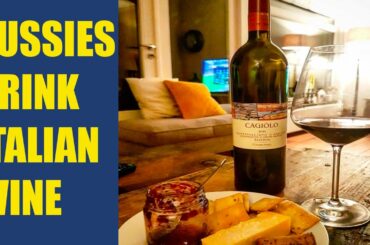 Italian Wine Cantina Tollo Review