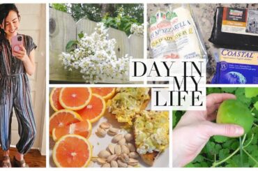DIML: Simple Summer Day: Grocery Haul, Cooking, Cleaning & Gardening.