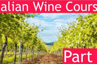 Italian Wine Course Part 1