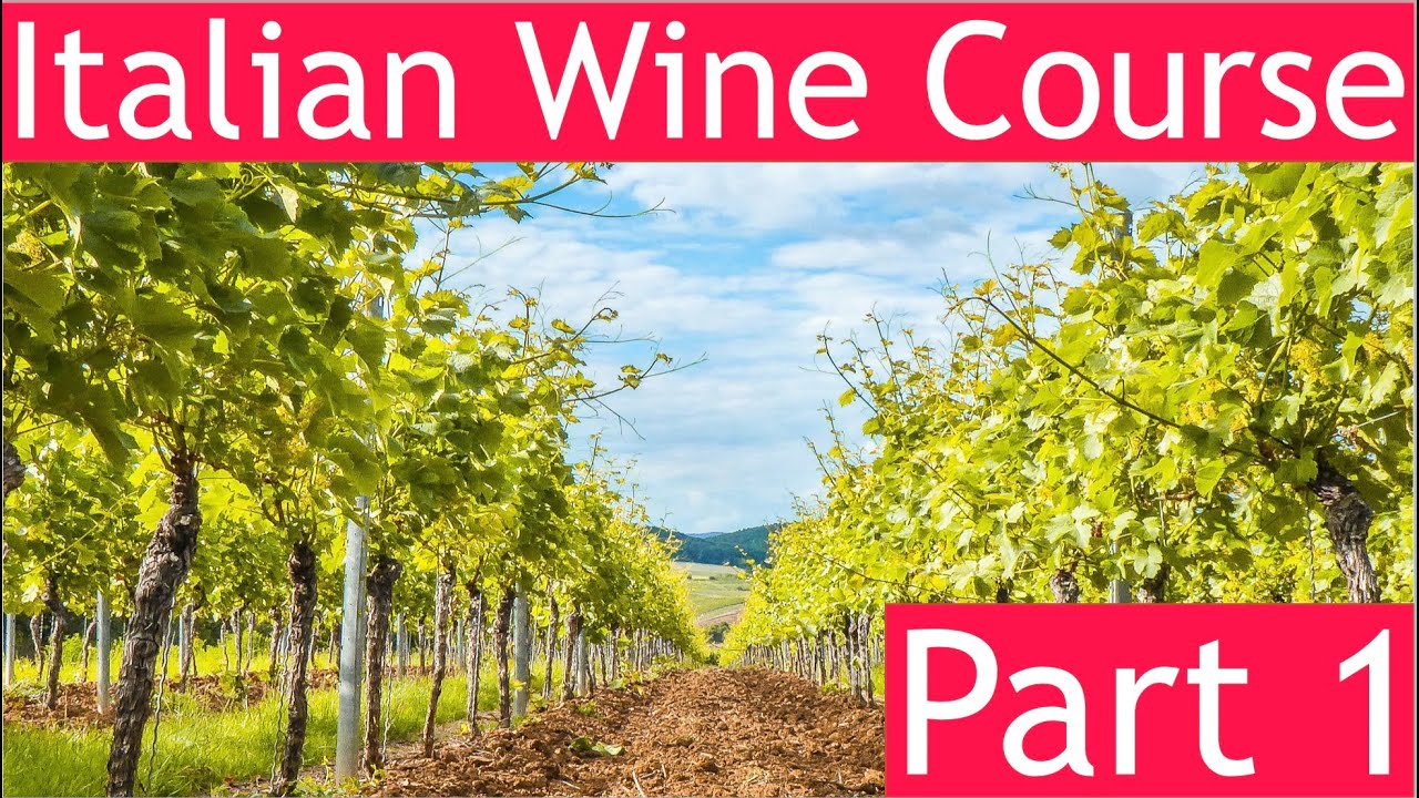 Italian Wine Course Part 1 Italian Wine Course Part 1
