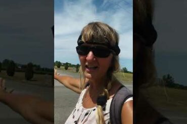 Feels like Italy!!!!! Saint Catharines, Ontario vineyards country