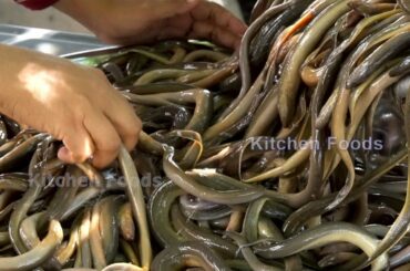 Cooking Small EELS Eating with Spicy Young Tamarind Sauce Recipe - Deep Fried Eels & Donation Food