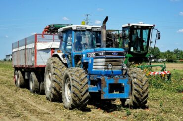 FORD TW35 GenII Raccolta pomodori / Mts Sandei THR750  - Tomato Harvest in Italy