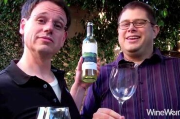 2011 Skyline Surprisingly Intriguing White Wine From Italy On Closeout At Grocery Outlet