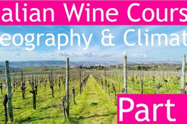 Italian Wine Course Part 2: Geography & Climate