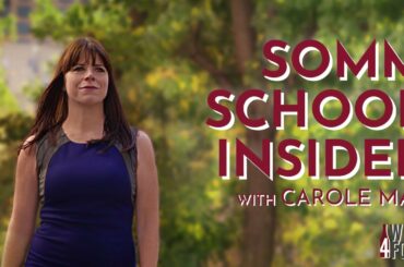 Let’s Go to the Boot! Italian Wines By Grape | Somm School Insider with Carole Mac (E5)