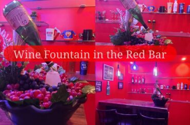 Wine Fountain in My Home's Red Bar