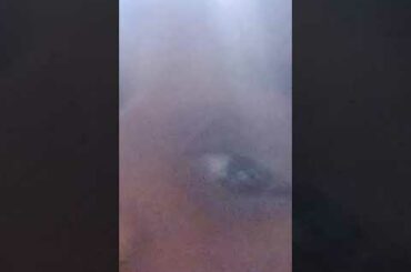 jelly fruit jelly fruit Italian food