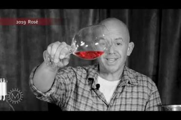 August Shipment Deeper Dive, Part 1 - Glorious Whites: Pinot Gris / Grigio & Rosé