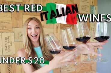 GREAT WINE UNDER $20 // 4 ITALIAN RED WINES that are AMAZING! (Ep. 3)