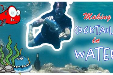 SARDINIAN SOUR - Best Cocktail Recipes - Sour Cocktail Drink #cocktails #sour #sardinia