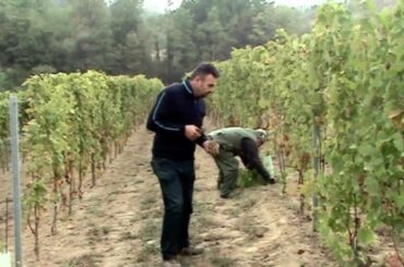 Roberto Sarotto Winery , Neviglie, Piemonte, Italy