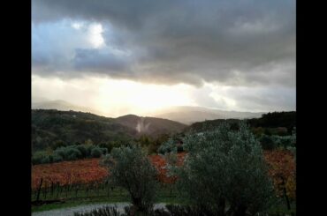 "Trip to Italy"! with Terre del Gufo and Tannintime!