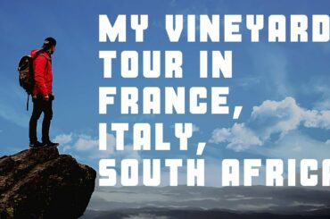 EUROPE WINE TOUR #EP16