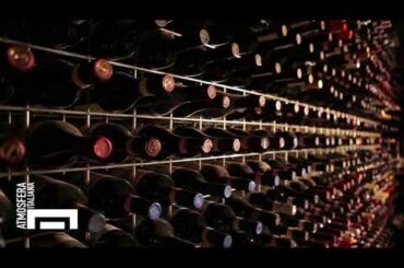 The Wine Cellar of Atmosfera Italiana | From Prosecco to Brunello di Montalcino