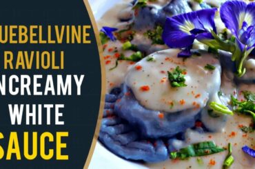 Bluebellvine Ravioli|in creamy white sauce|natural color|Italian|healthy & tasty|easy recipe at home