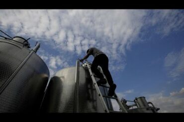 إيطاليا: تحويل النبيذ إلى مادة هلامية لتطهير الأيادي