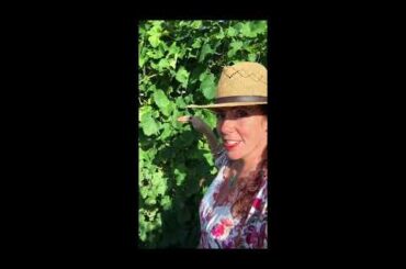 Moving to Italy | Month 4 | August Holiday 2020