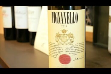 Executive Class Icons of Luxury: Marchesi Antinori. (2019)