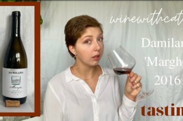 Damilano 'Marghe' 2016 | WineTastingWithCaty