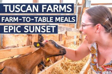 FARM TO TABLE: ITALIAN FOOD IN TUSCANY // Epic foodie adventure: Goat Cheese, honey, Olive oil