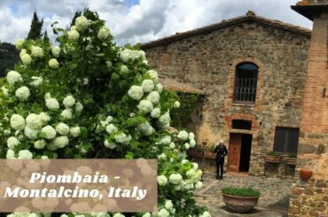 Montalcino, Italy: Piombaia Agriturismo