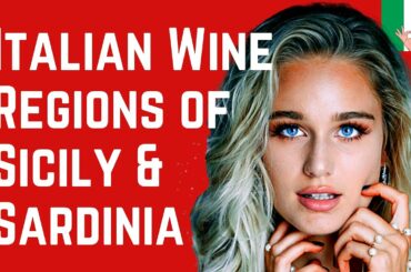 Italy's Best 20 Wine Regions to Visit and Enjoy – Islands ❤️