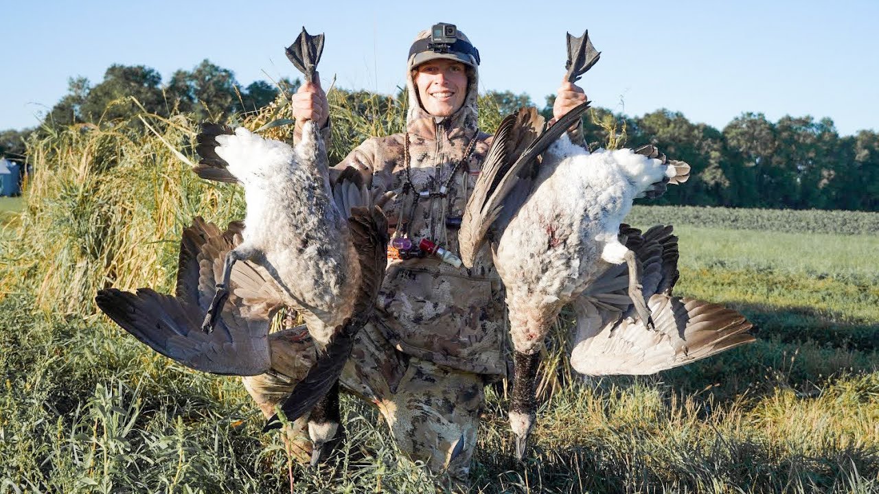 Goose Hunting 2020 (CATCH CLEAN COOK) Goose Hunting 2020 (CATCH CLEAN COOK)