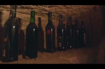 Cinque Quinti winery   THE ITALIAN TROTTER