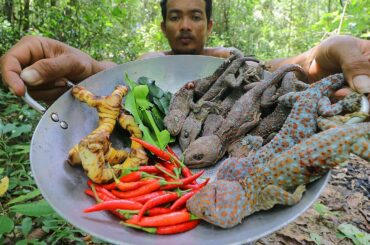 Find n Catch Geckos for Dinner in Forest
