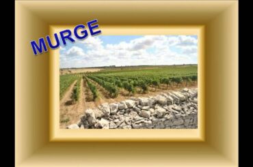 VMOh3 - PP Italian wine regions