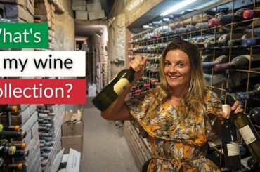 Exploring My Wine Collection | How can you track your wines too! 🍷