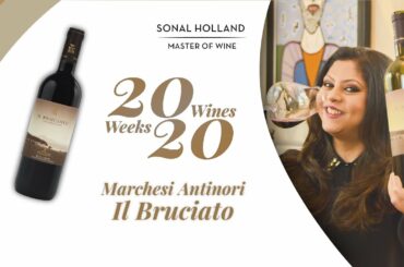 20 Amazing Wines to Drink in 2020 - Ep 5 | IL Bruciato | Sonal Holland MW