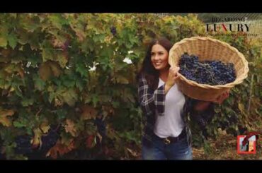 Wine tour featuring the Contesa vineyards, in Italy's Abruzzo region.