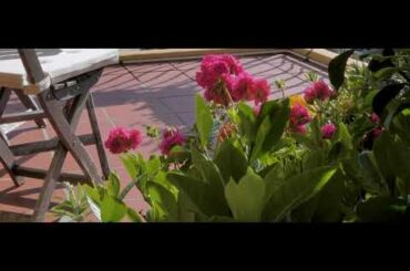 117 23 The Italian Forum, Norton Street   Simone Azzi 1