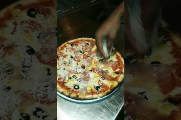 wood fired pizza in india! do you want pizza woen pizza chef and full italian chef!