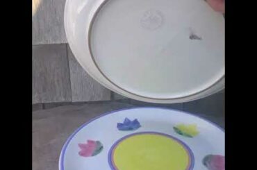 2 Caleca STELLA 11" Dinner Plates Yellow Blue Pink Floral Hand Painted Italy