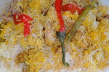 Best Spicy Chicken Biryani Recipe By Chef Rida in Italy | Delicious 😋 Biryani | Commercial Biryani