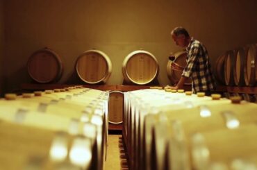 Secco Wine Club - Grape to Glass Conversation