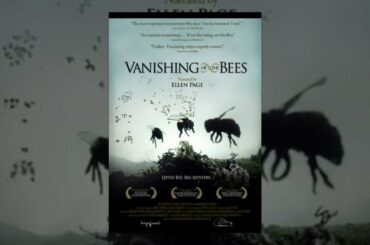 Vanishing of the Bees