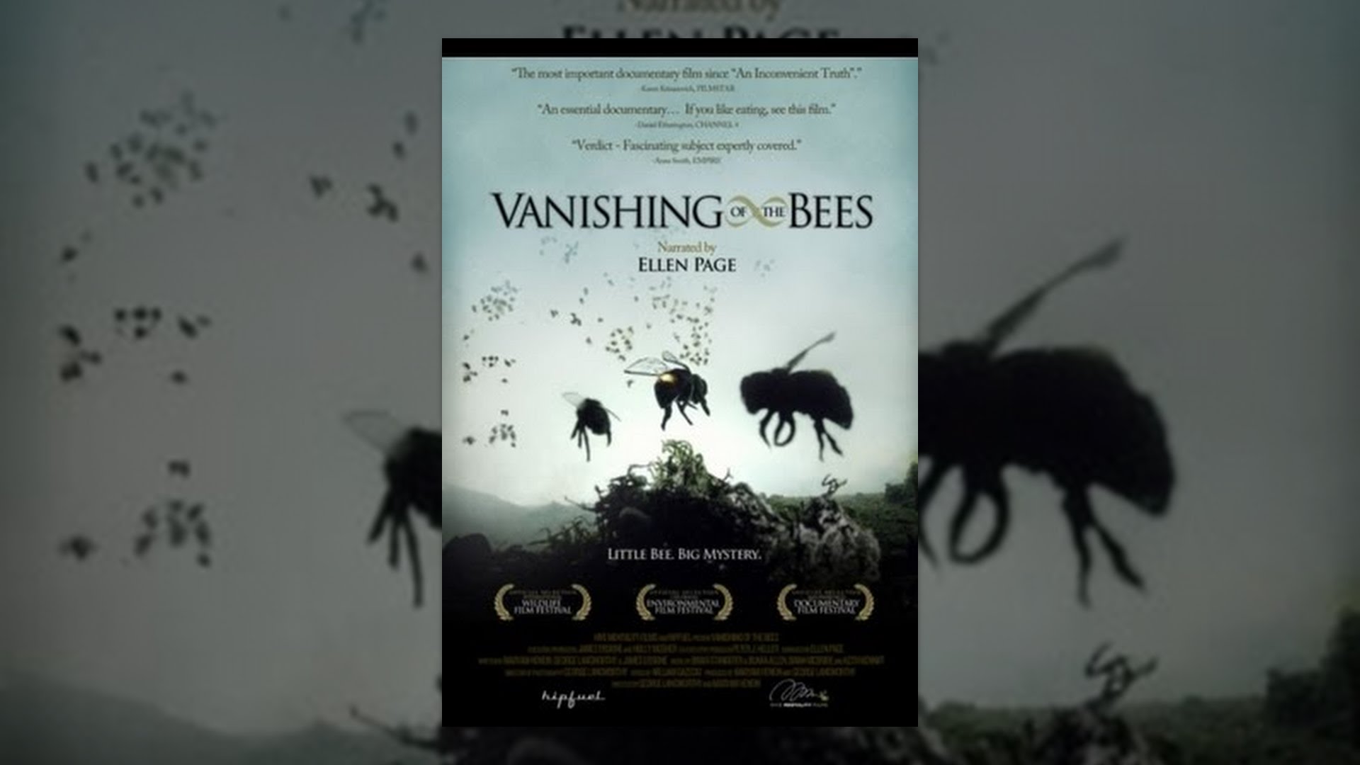 Vanishing of the Bees Vanishing of the Bees